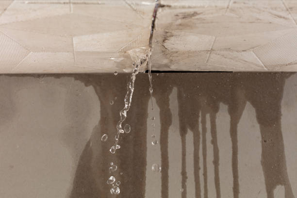 Professional Water Damage Inspection technician working in Stephenville, TX